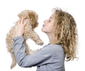 shutterstock_33265969